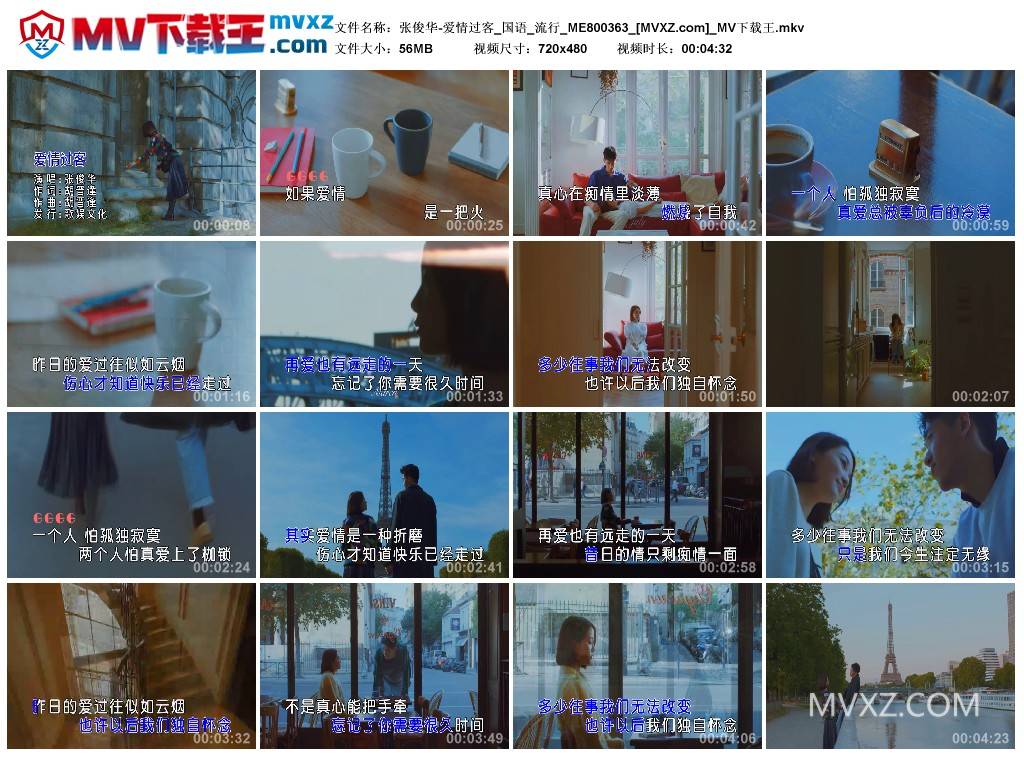 张俊华-爱情过客_国语_流行_ME800363